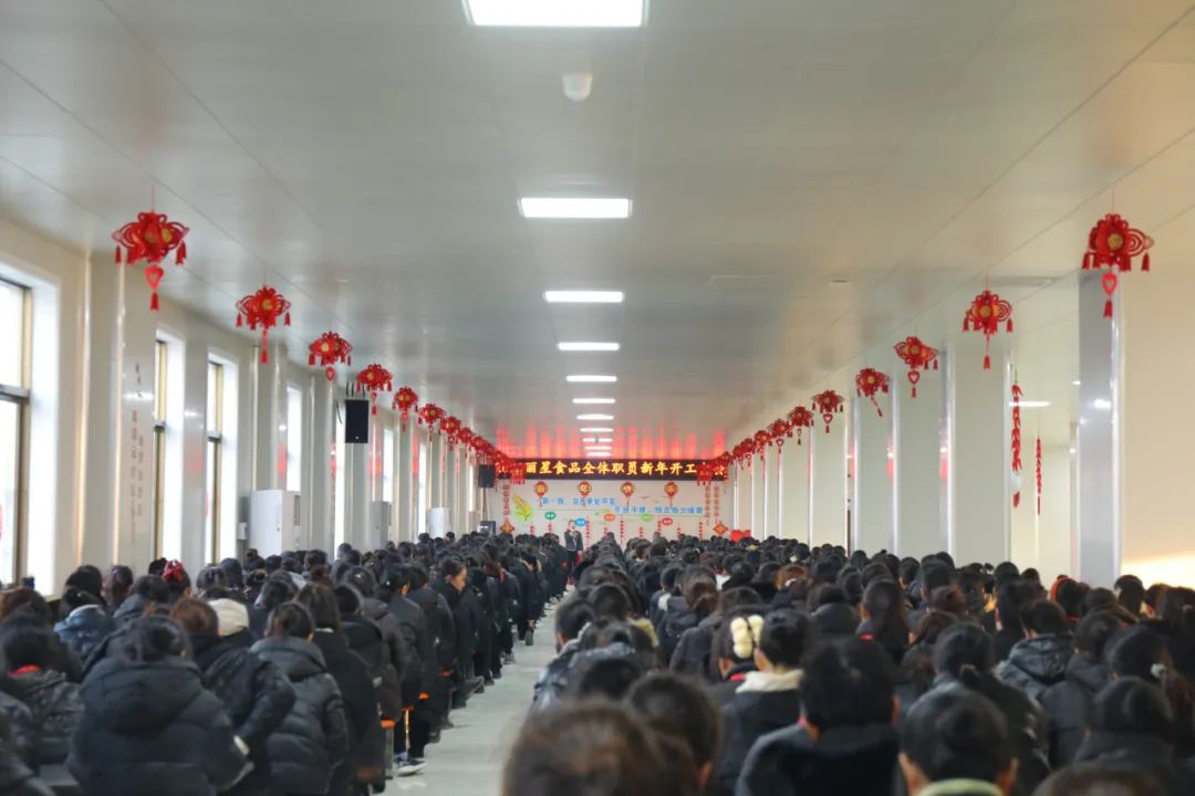 玉兔迎新春，奮進(jìn)新征程