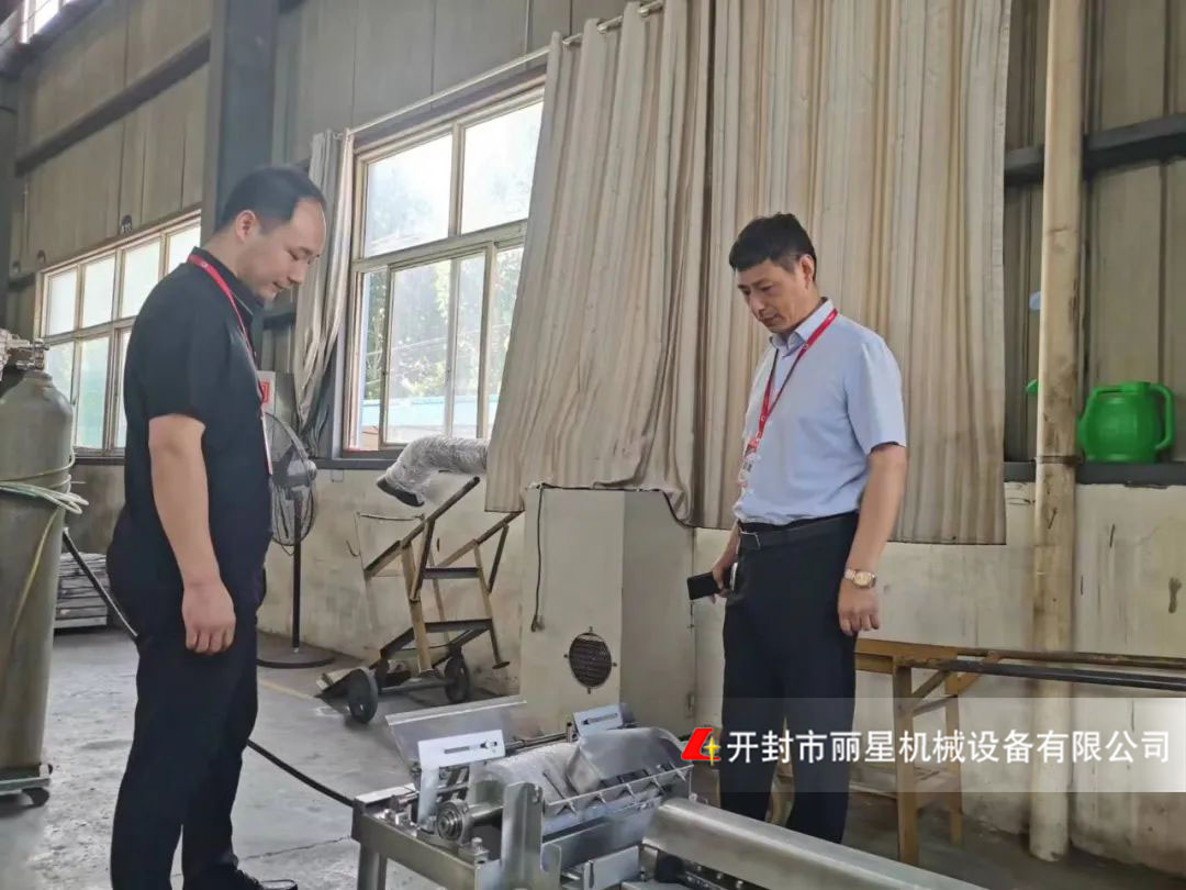 麗星質量檢查